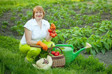 В Союзе садоводов России разъяснили особенности «налога на огород»